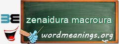 WordMeaning blackboard for zenaidura macroura